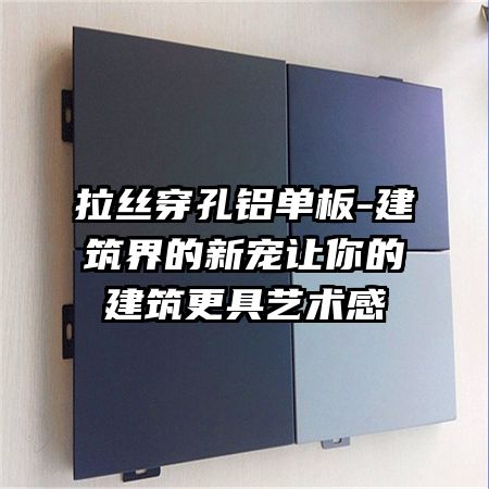 拉丝穿孔铝单板-建筑界的新宠让你的建筑更具艺术感