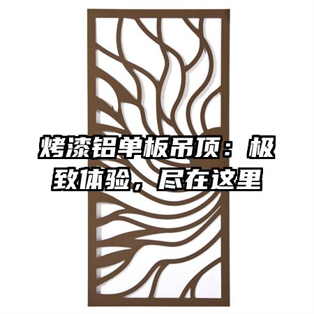烤漆铝单板吊顶：极致体验，尽在这里