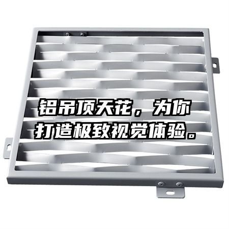 铝吊顶天花，为你打造极致视觉体验。